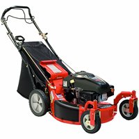 Ariens Classic LM21SW